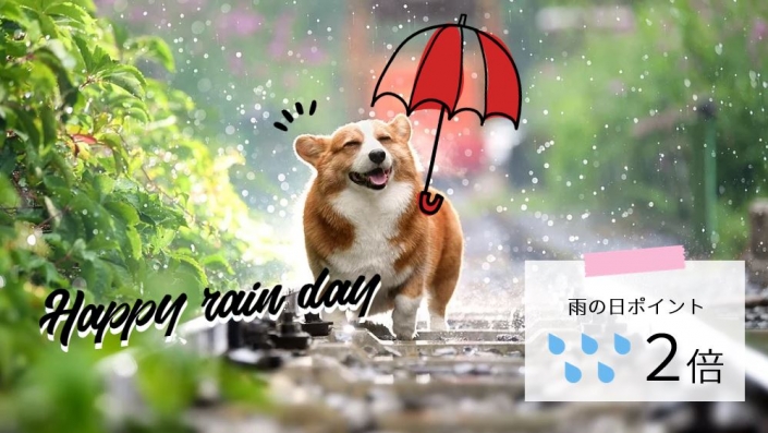 rainday_template